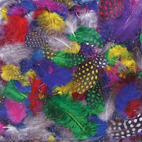 Creativity Street® Multi-Color Guinea Feathers