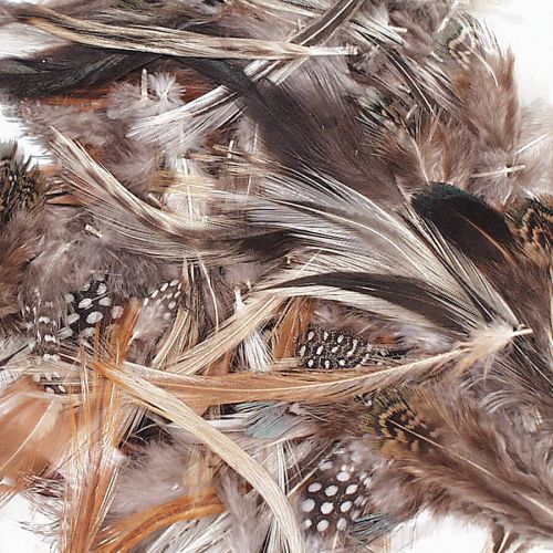 Creativity Street® Natural Feathers