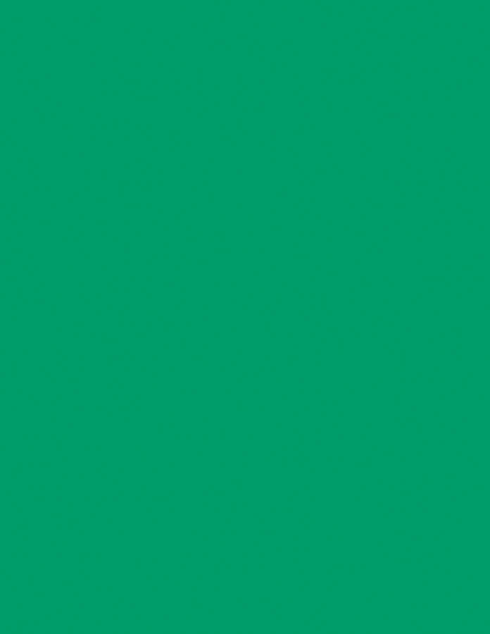 Pacon Color Brights Cardstock - Emerald Green