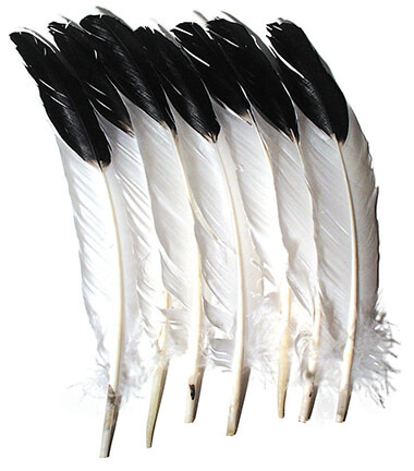 Creativity Street® Imitation Eagle Feathers